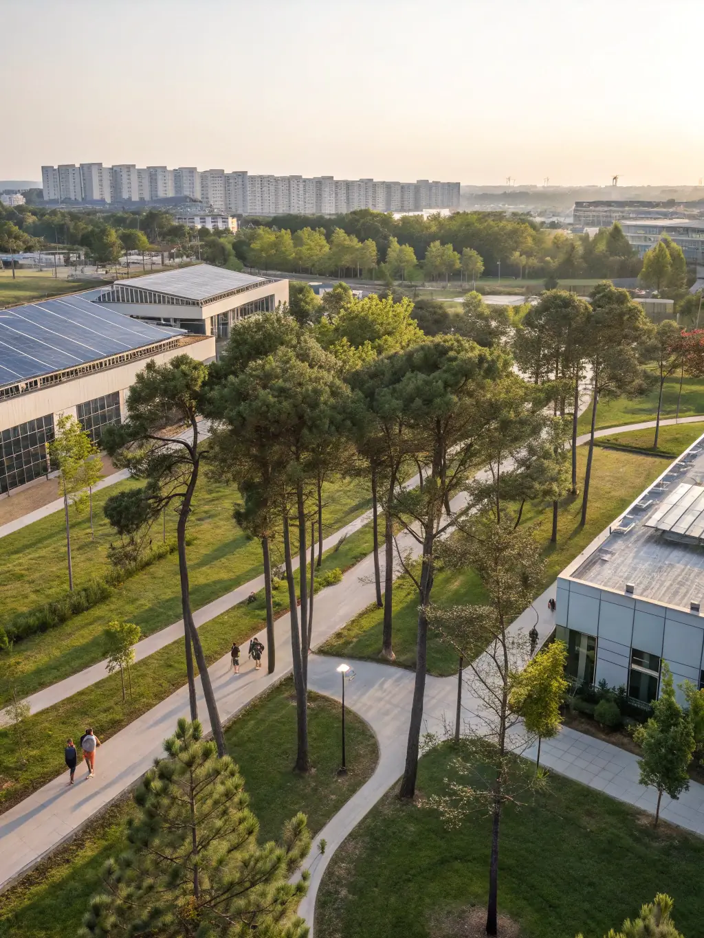 A lush green urban landscape with sustainable buildings, illustrating Greenbuild Talent's commitment to the sustainability sector.